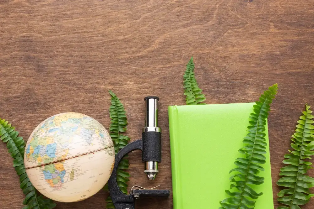 Legal Foundations for Sustainable and Impact Investment in Tanzania A Strategic Guide for NGOs and Global Mission-Driven Investors