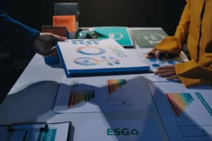 Legal Foundations for Sustainable and Impact Investment in Tanzania