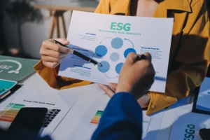 Legal Foundations for Sustainable and Impact Investment in Tanzania